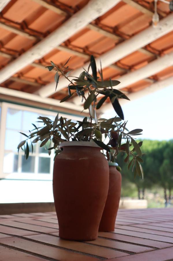 Monte Santo Villa Montargil Exteriör bild